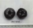 Click for 1 image(s) for this accession. FRUIT